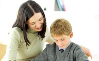 Обучение на дому: плюсы и минусы Плюсы и минусы индивидуального обучения на дому
